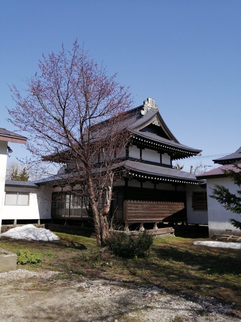 4月　裏庭