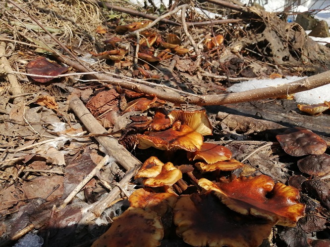3月