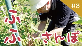 ふふさんぽ＃８